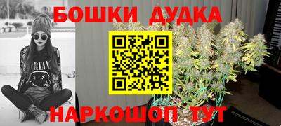 индика Краснознаменск