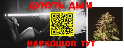 индика Краснознаменск