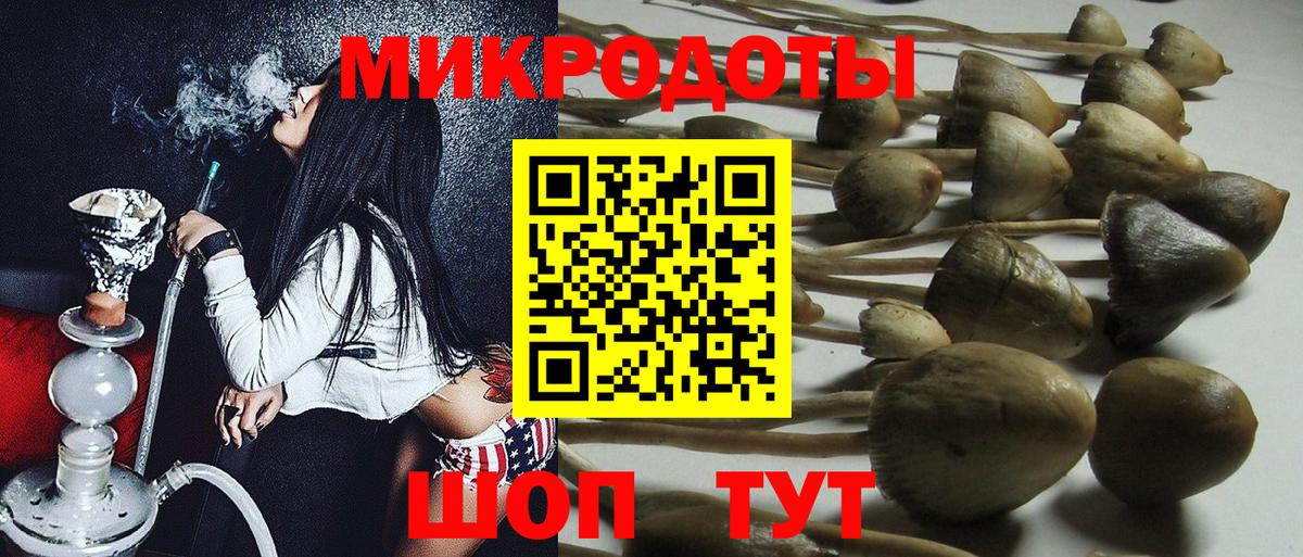 Галлюциногенные грибы MAGIC MUSHROOMS  Вход с VPN  Шатура 