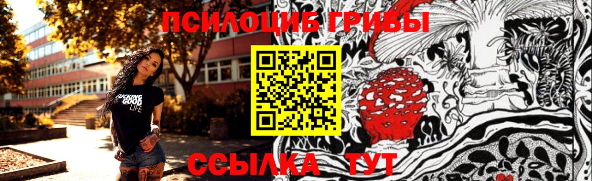 Галлюциногенные грибы мухоморы Шатура